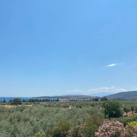 Georges Galaxidi, Family, Pool And Garden فيلة