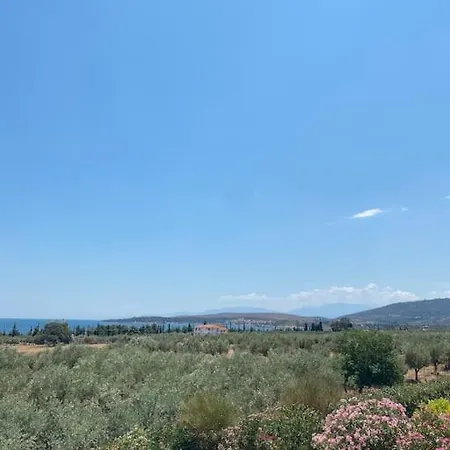 Georges Galaxidi, Family, Pool And Garden Vila Galaxídhion