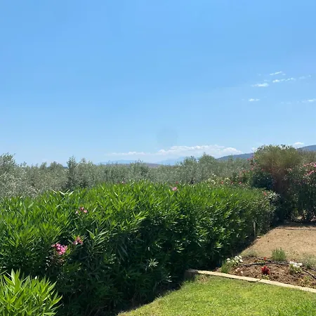 Georges Galaxidi, Family, Pool And Garden * Galaxídhion