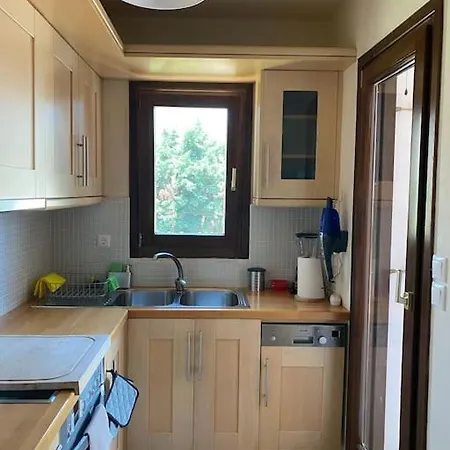 Georges Galaxidi, Family, Pool And Garden Galaxídhion