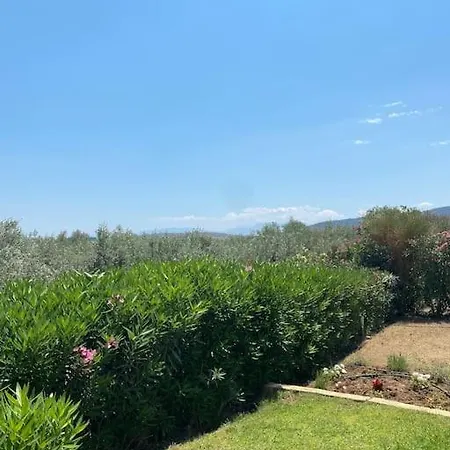 Georges Galaxidi, Family, Pool And Garden *