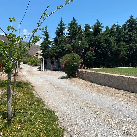 Georges Galaxidi, Family, Pool And Garden Galaxídhion